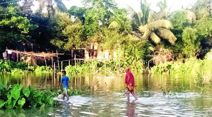 দোয়ারাবাজারে পাহাড়ি ঢলে নিম্নাঞ্চল প্লাবিত